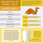 Harsha Nutrition Freeze Dried Camel Pro Milk Powder (1000 g) by Marbella - Image 3